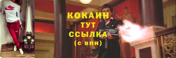 молекула духа Новозыбков