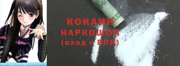 молекула духа Новозыбков