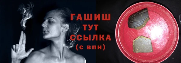 молекула духа Новозыбков