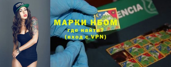 молекула духа Новозыбков