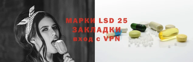 молекула духа Новозыбков