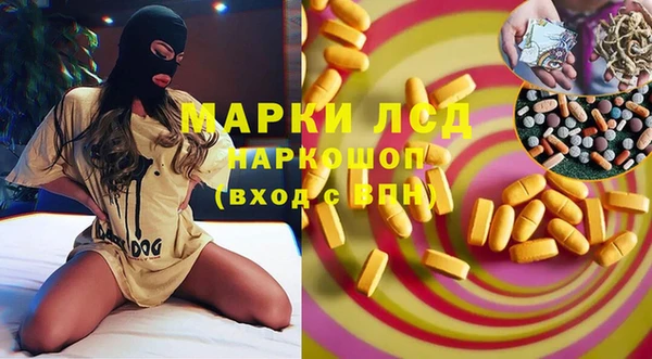 молекула духа Новозыбков