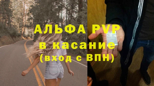 молекула духа Новозыбков