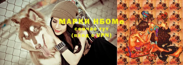 молекула духа Новозыбков