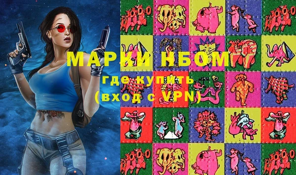молекула духа Новозыбков