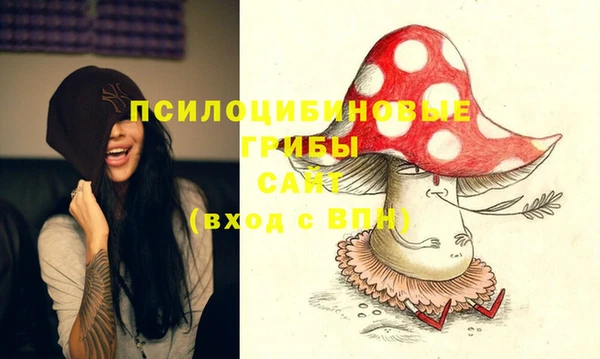 метадон Новодвинск