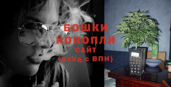 молекула духа Новозыбков