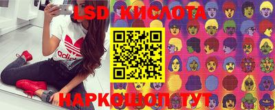 ПСИЛОЦИБИНОВЫЕ ГРИБЫ Аргун