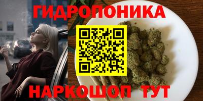 MDMA Premium VHQ Камышлов