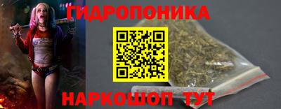 СК Кандалакша